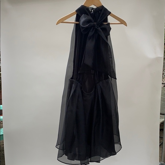 zara mini organza dress